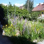 Guest house Molnar Vendeghaz Balatonboglar