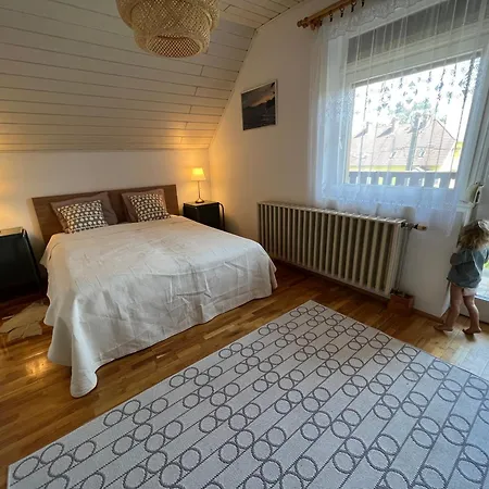 Molnar Vendeghaz Гостевой дом Балатонбоглар