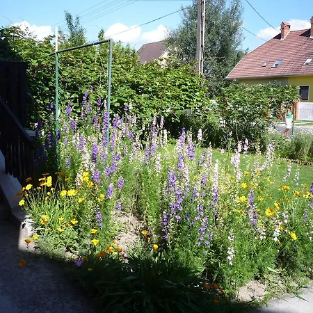 Гостевой дом Molnar Vendeghaz Балатонбоглар