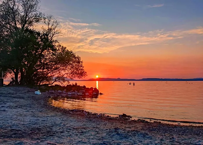 Molnar Vendeghaz Pensionat 4*